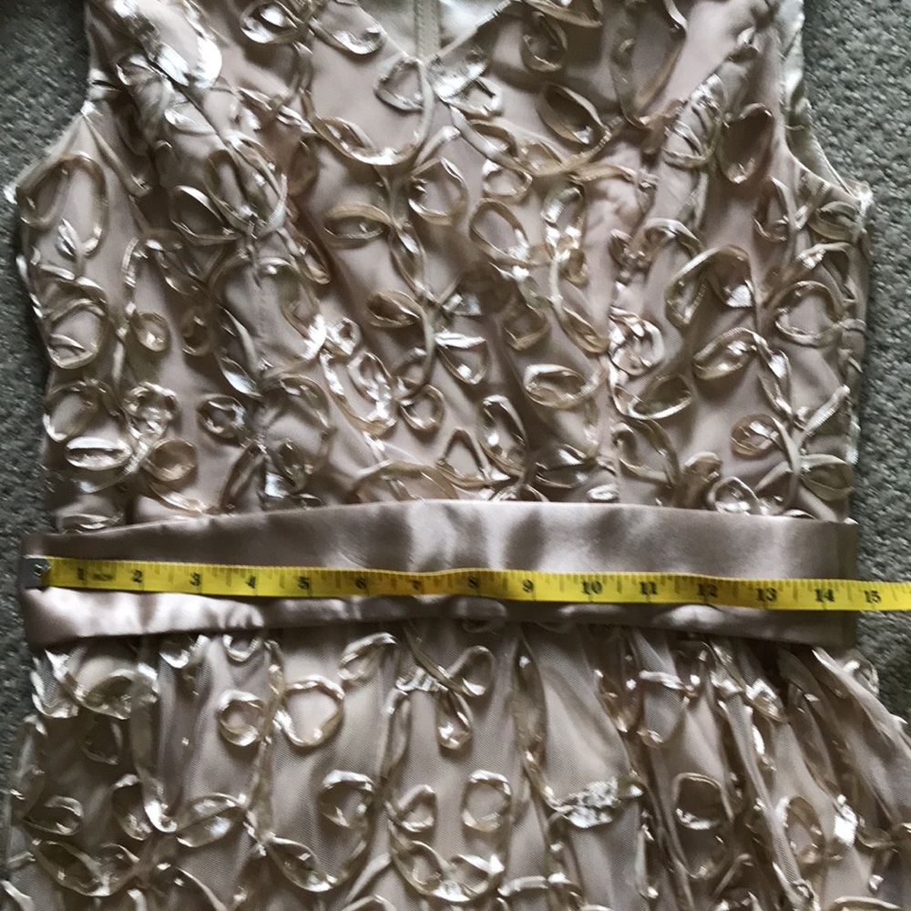 Size 6 - Ellen Tracy design with some modifications - Picture 7 of 11